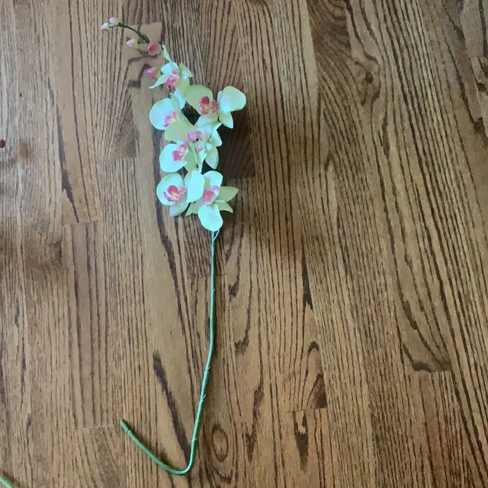 Beautiful faux stems of orchids
